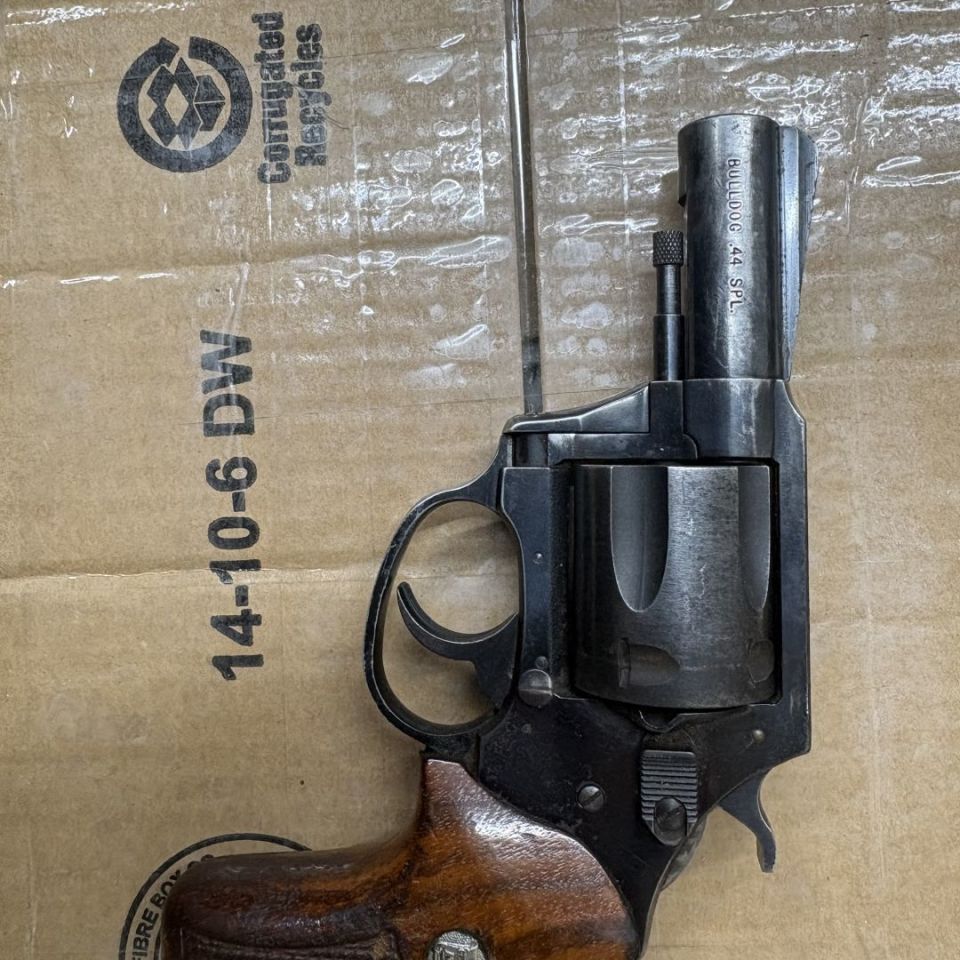 Post 5 - Charter Arms Bulldog .44 spl