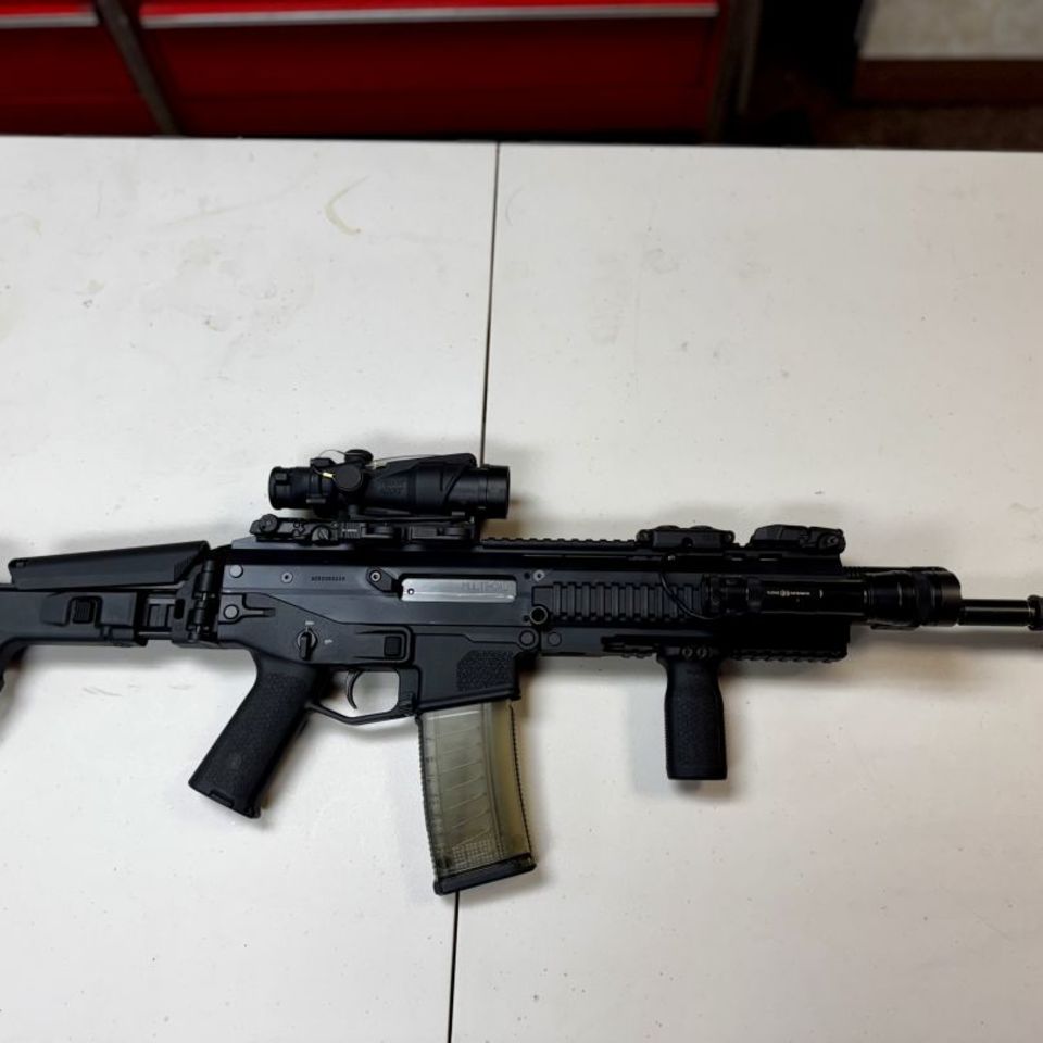 Post 2 - bushmaster acr