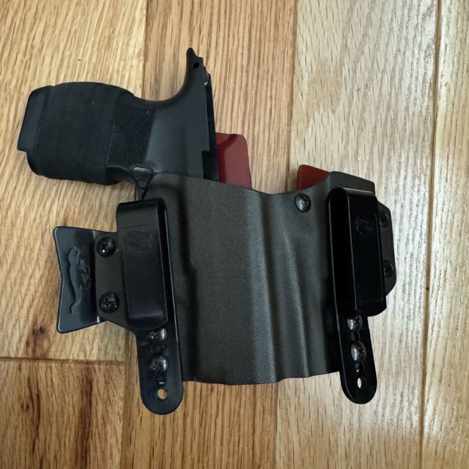 Post 2 - P365 TREX Sidecar/ X module