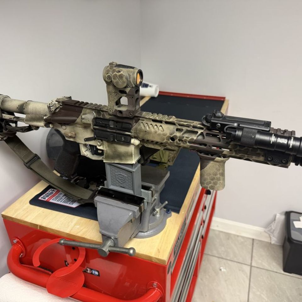 Post 1 - Frakenbuild AR