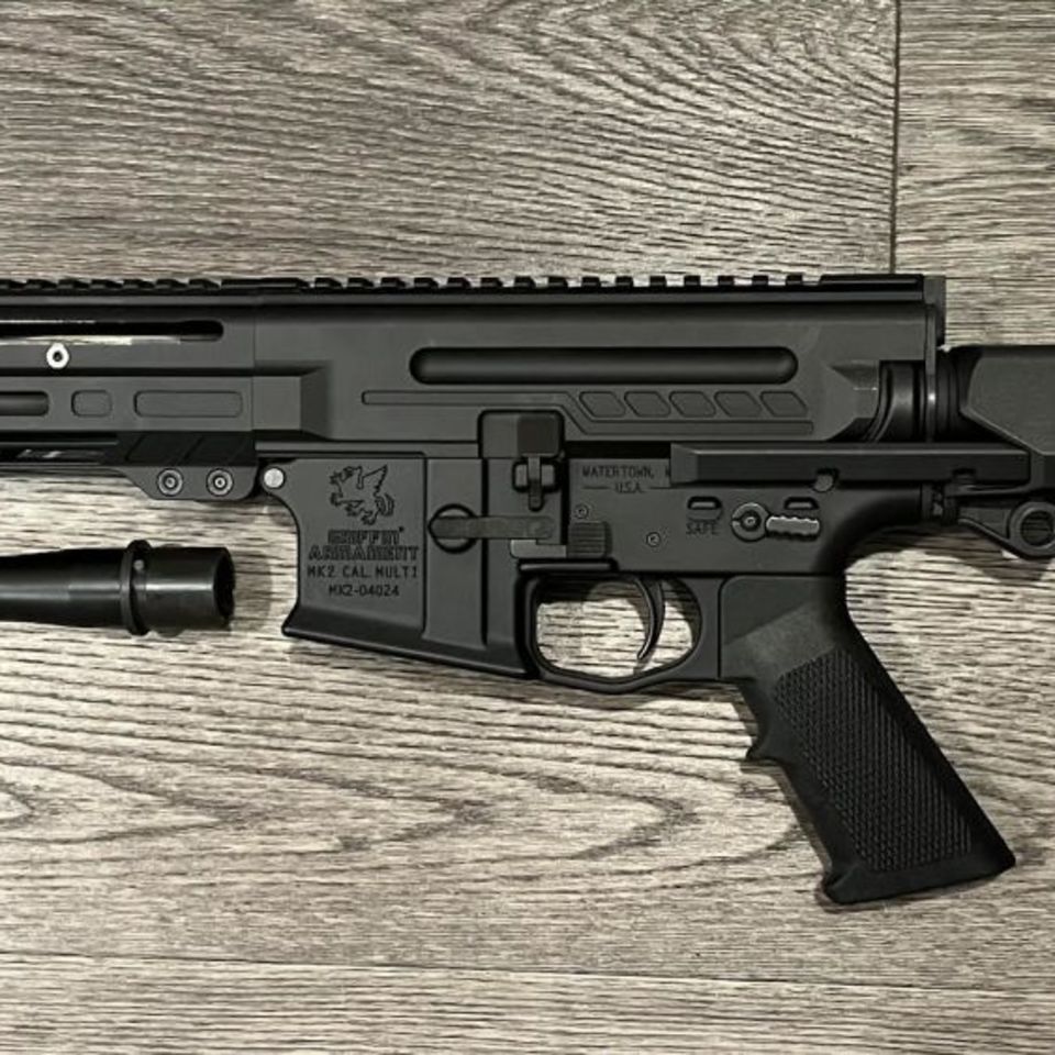 Post 1 - "Broke Badger" Dissent 300BO