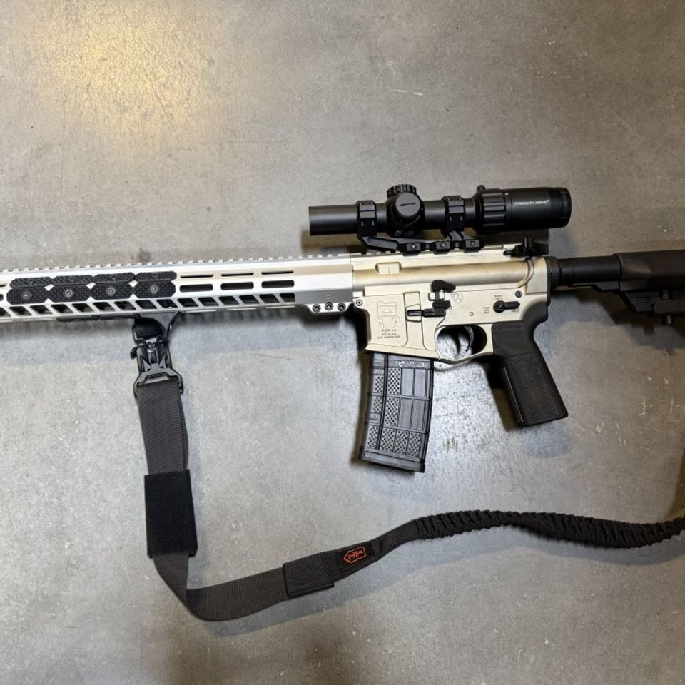 Post 1 - 16’ Bad Attitude/PSR