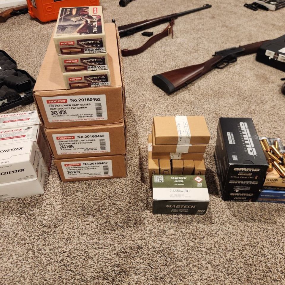 Post 3 - .243, 7.62x51, .44 Mag