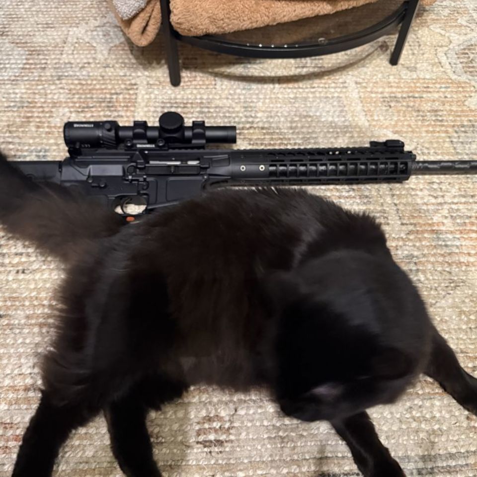 Post 1 - LWRC REPR MKII Elite 6.5 Creed