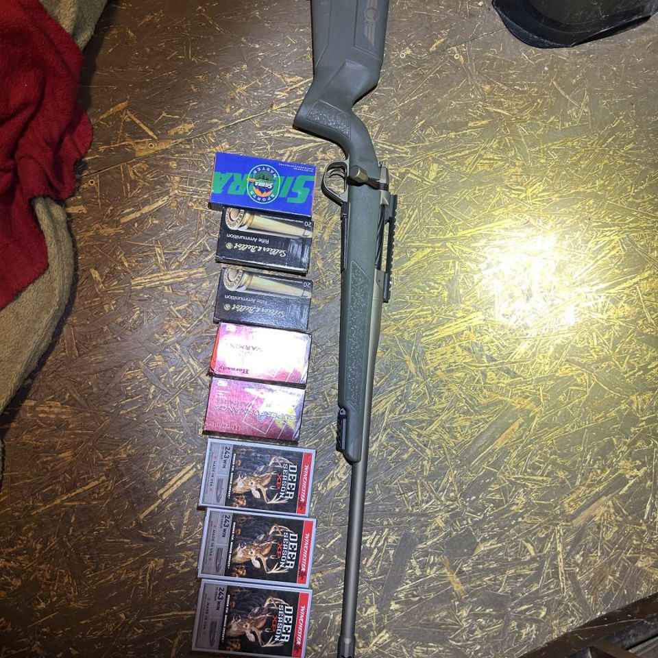 Post 1 - Christensen arms evoke 243