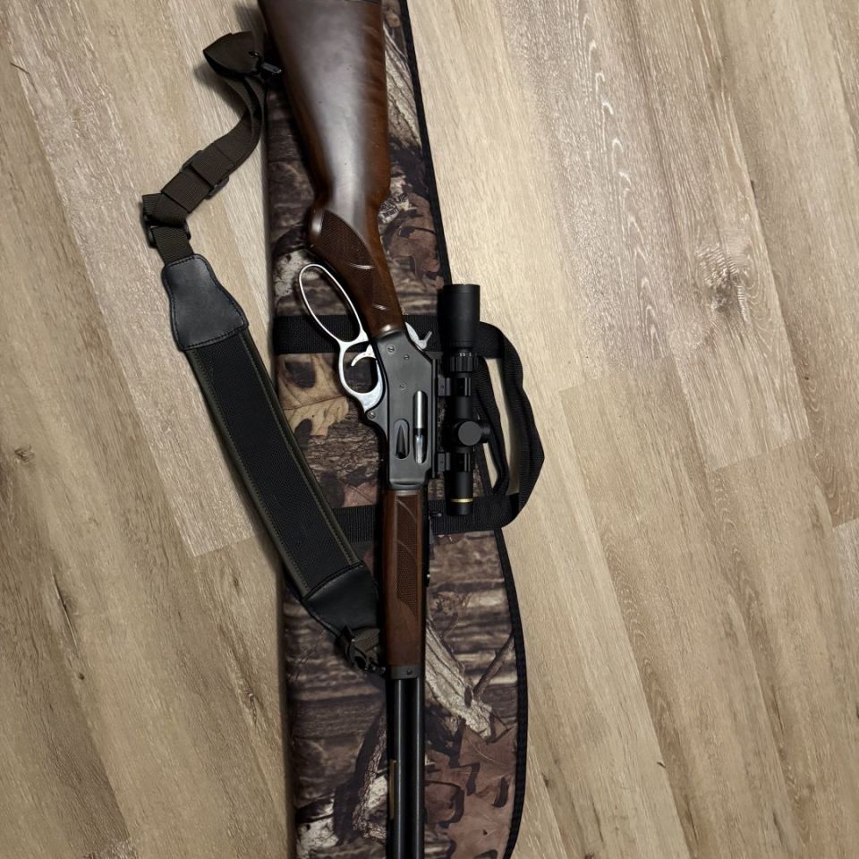 Post 2 - Henry 45-70