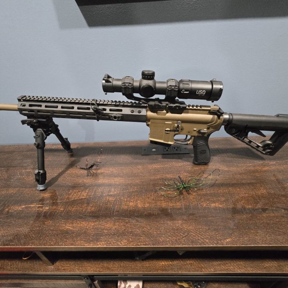 Post 1 - Wilson Combat  AR 556