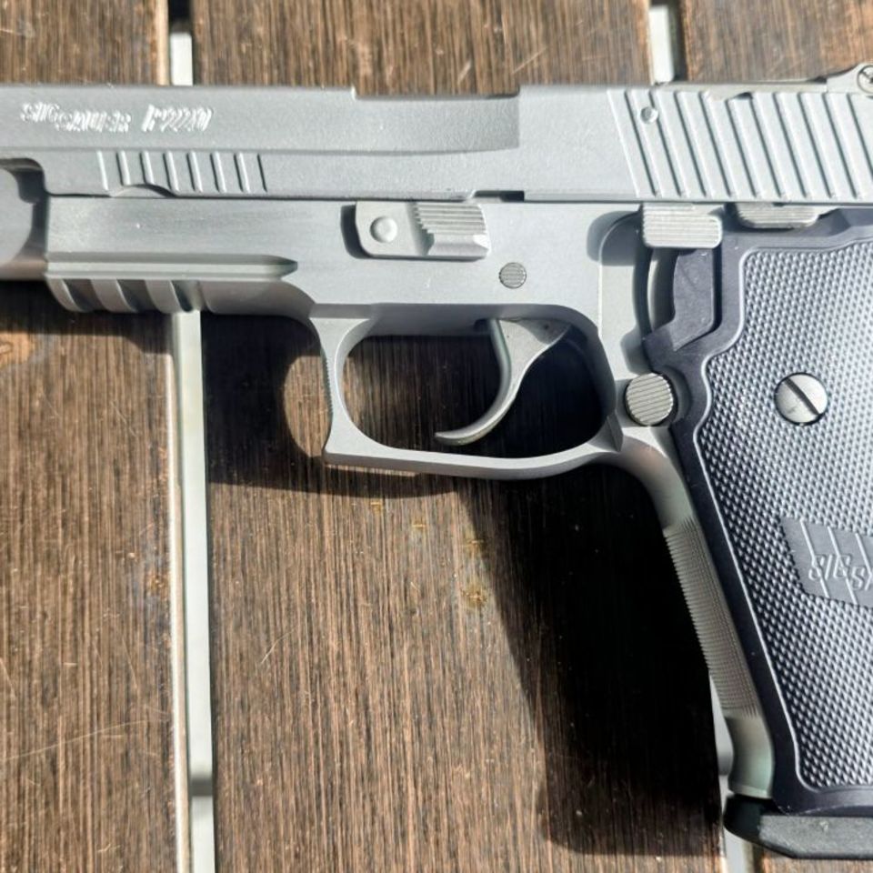 Post 1 - P220 Target Stainless