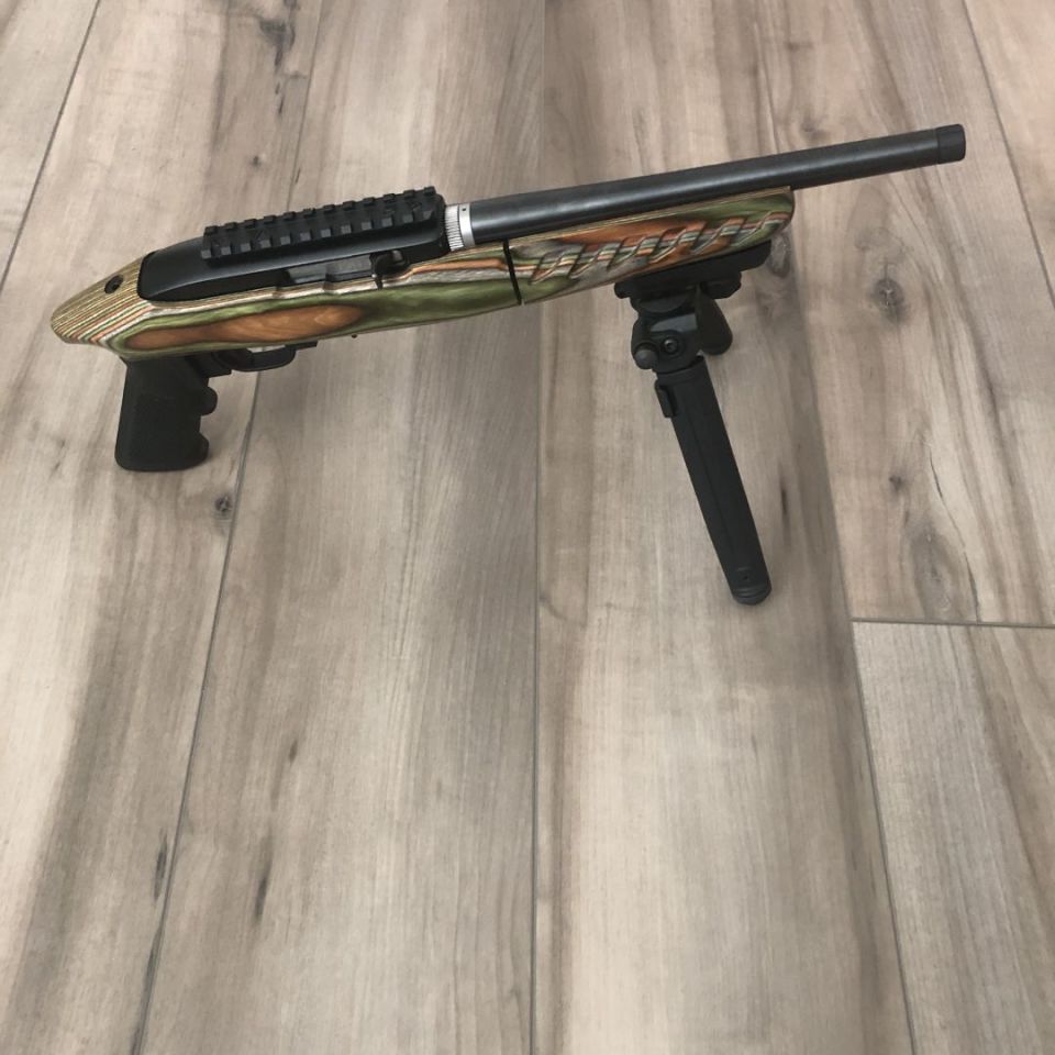 Post 4 - Ruger Charger Takedown