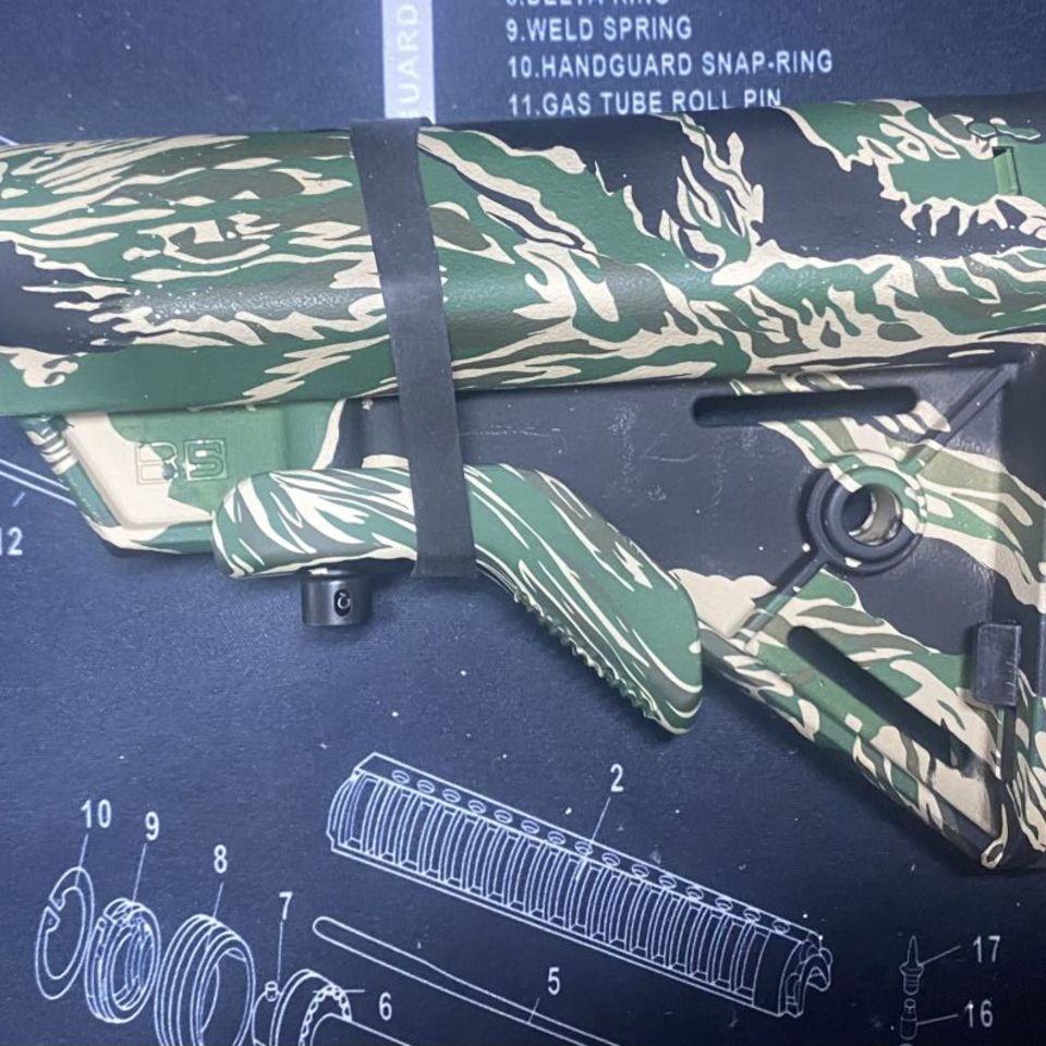 Post 1 - B5 bravo tiger stripe