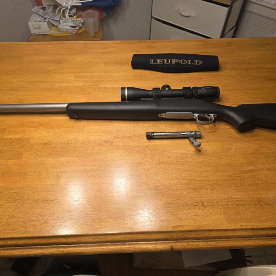 Post 4 - Custom Remington 700 .223