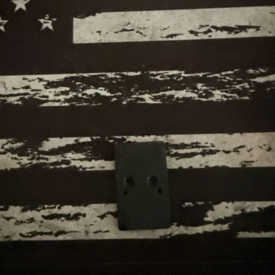 Post 1 - Walther pdp rmr plate