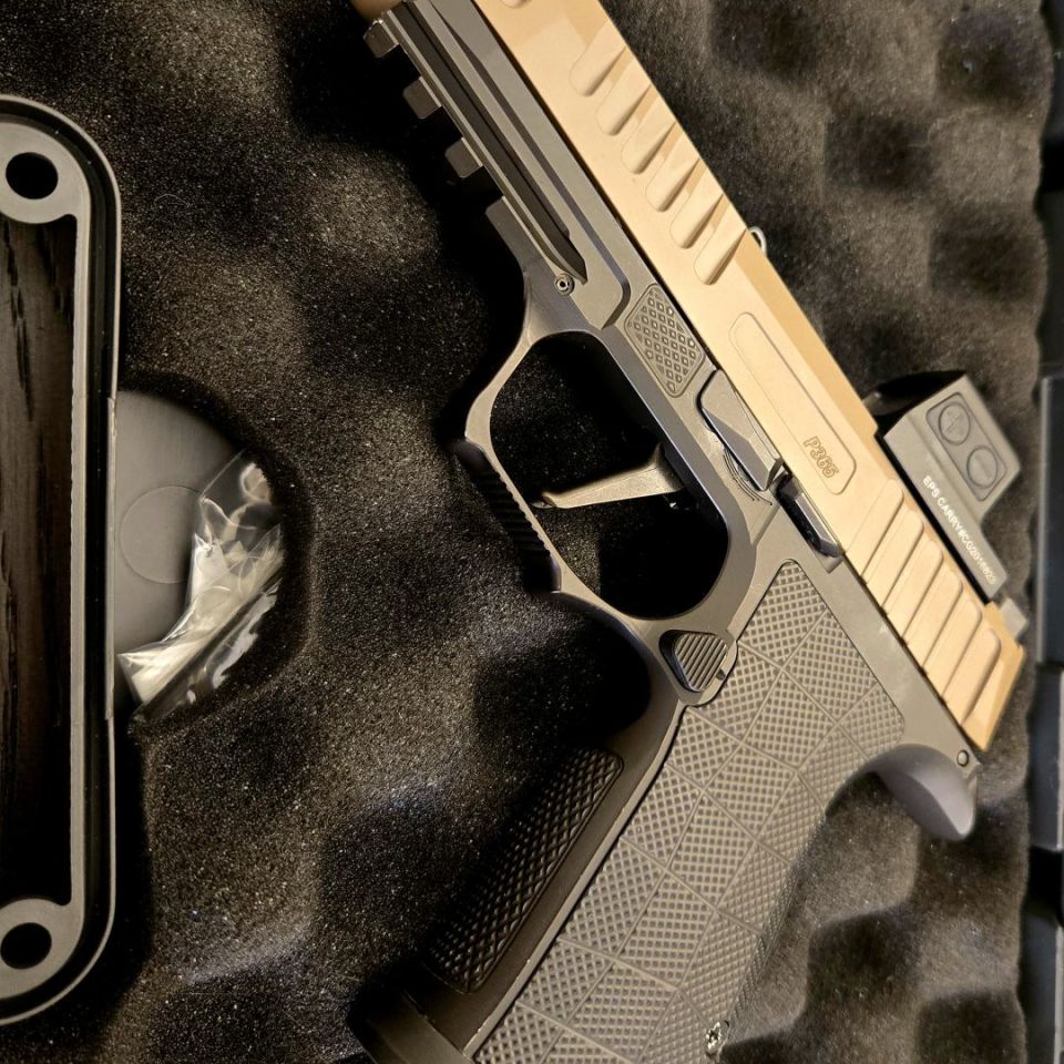 Post 2 - Sig Ported Fuse Icarus AXG