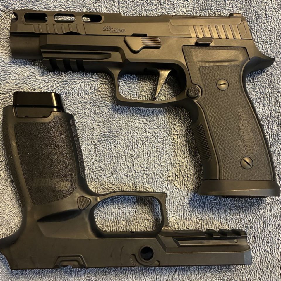 Post 1 - Sig P320 AXG Pro Frame & FCU