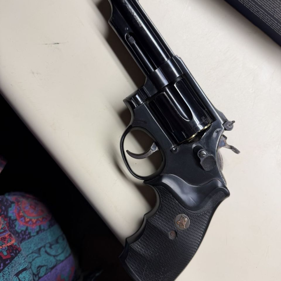 Post 4 - Taurus Model 66