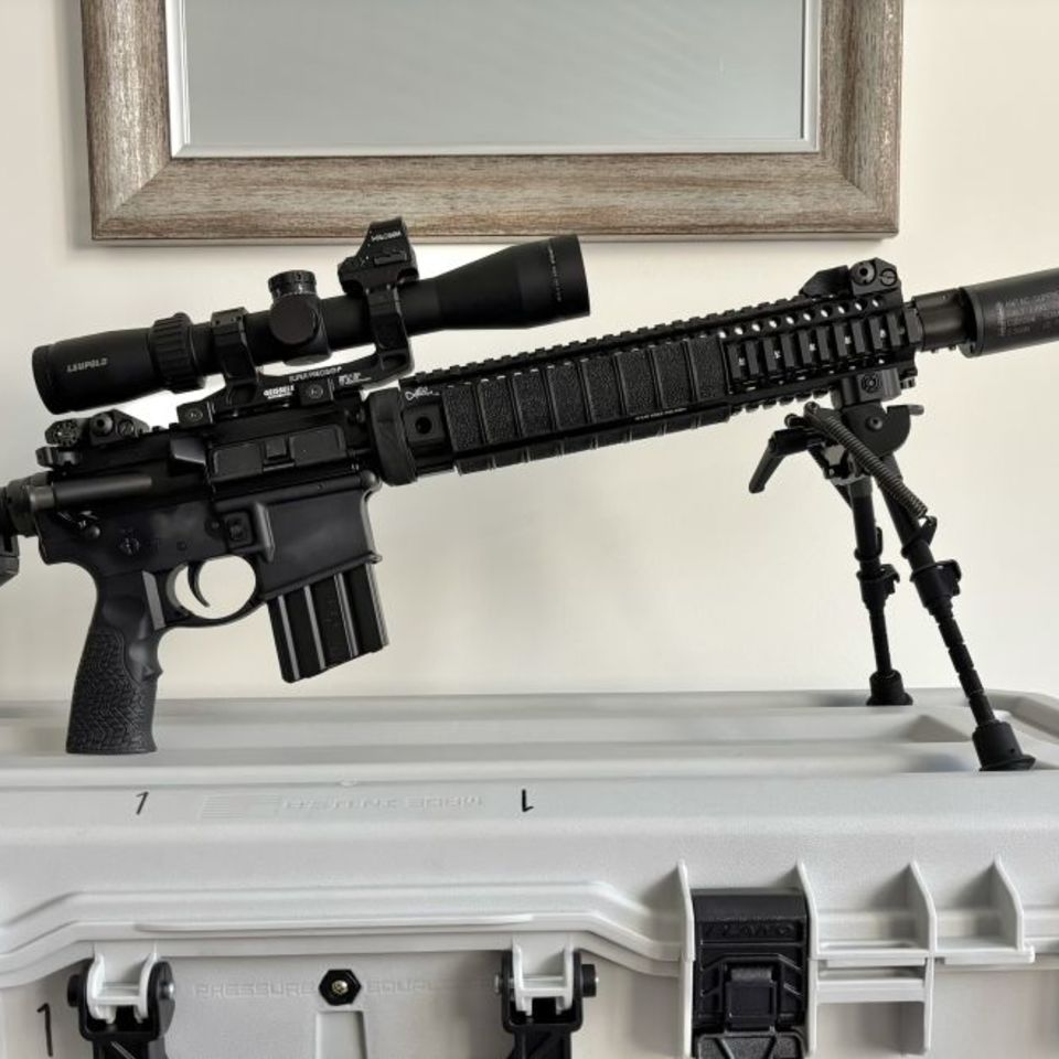 Post 2 - Mk12-ish Daniel Defense