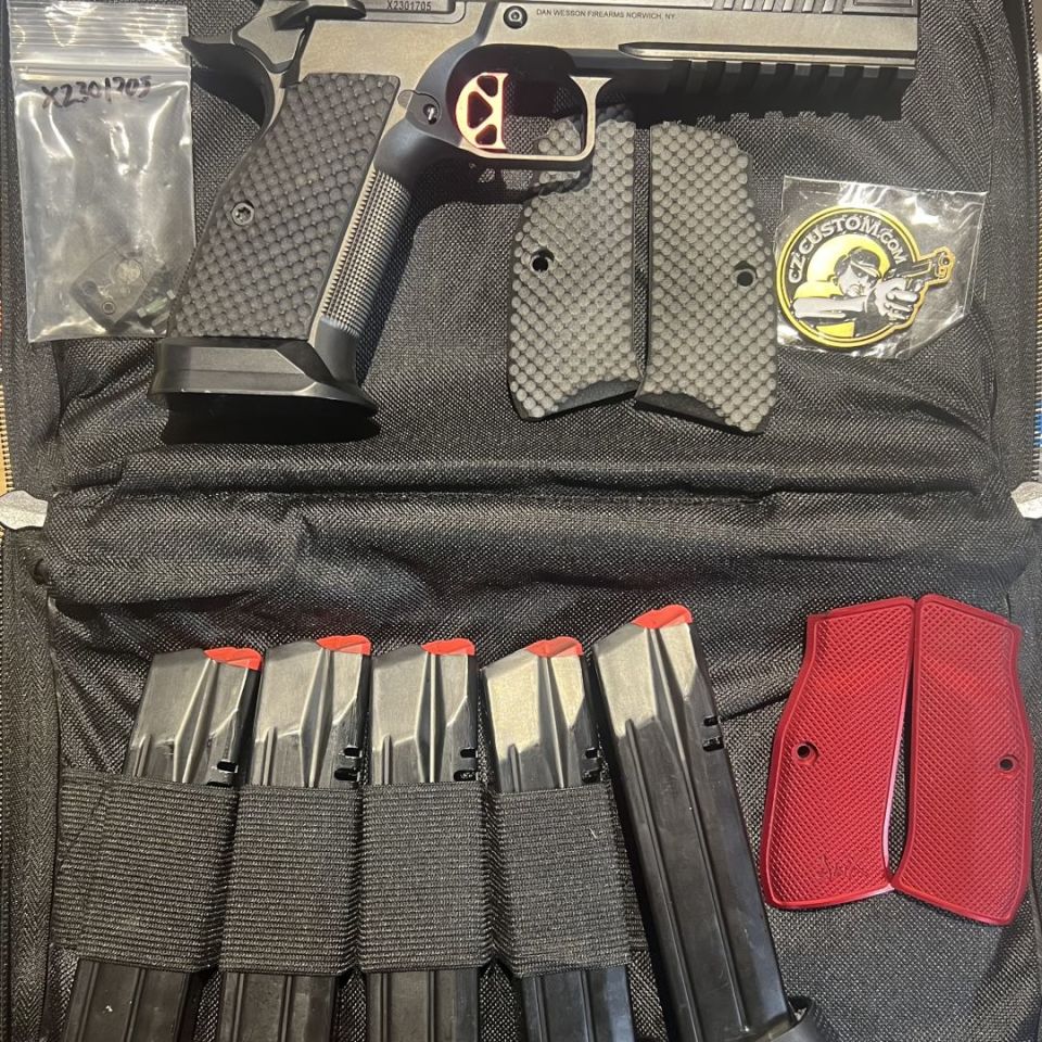 Post 1 - CZ Customs DWX