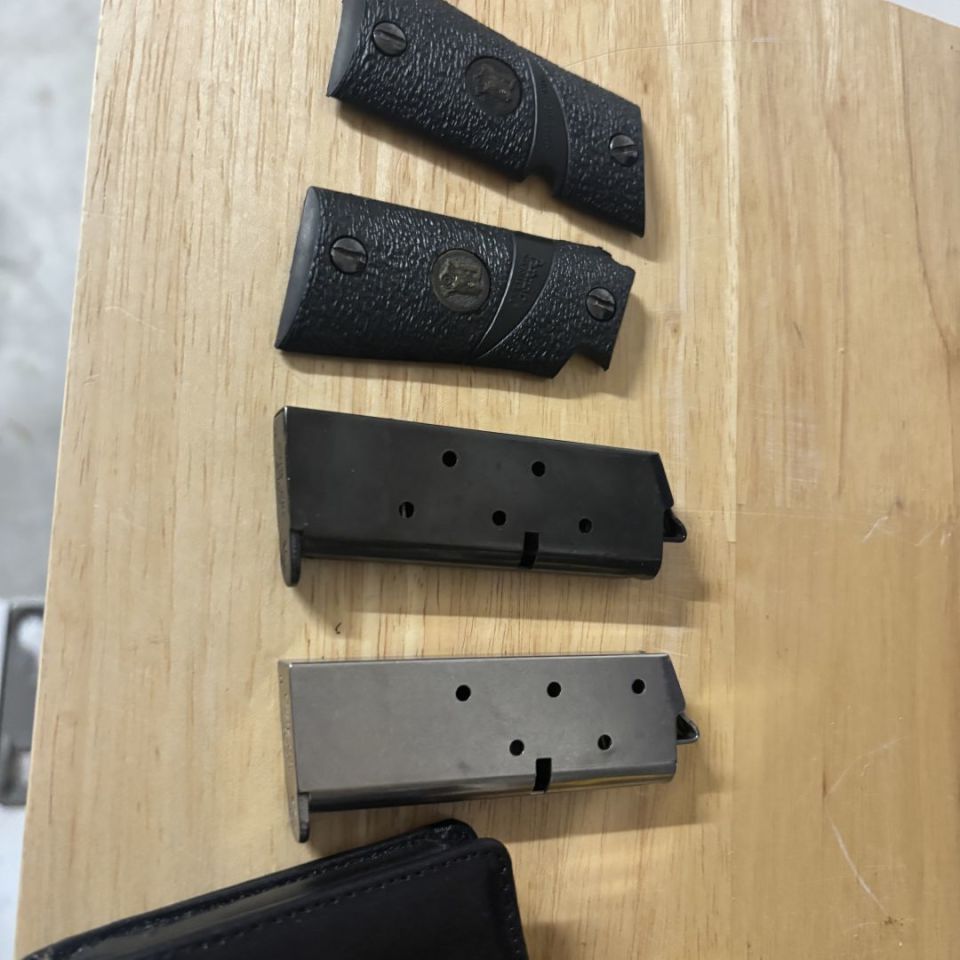 Post 4 - Colt mustang mags and grips
