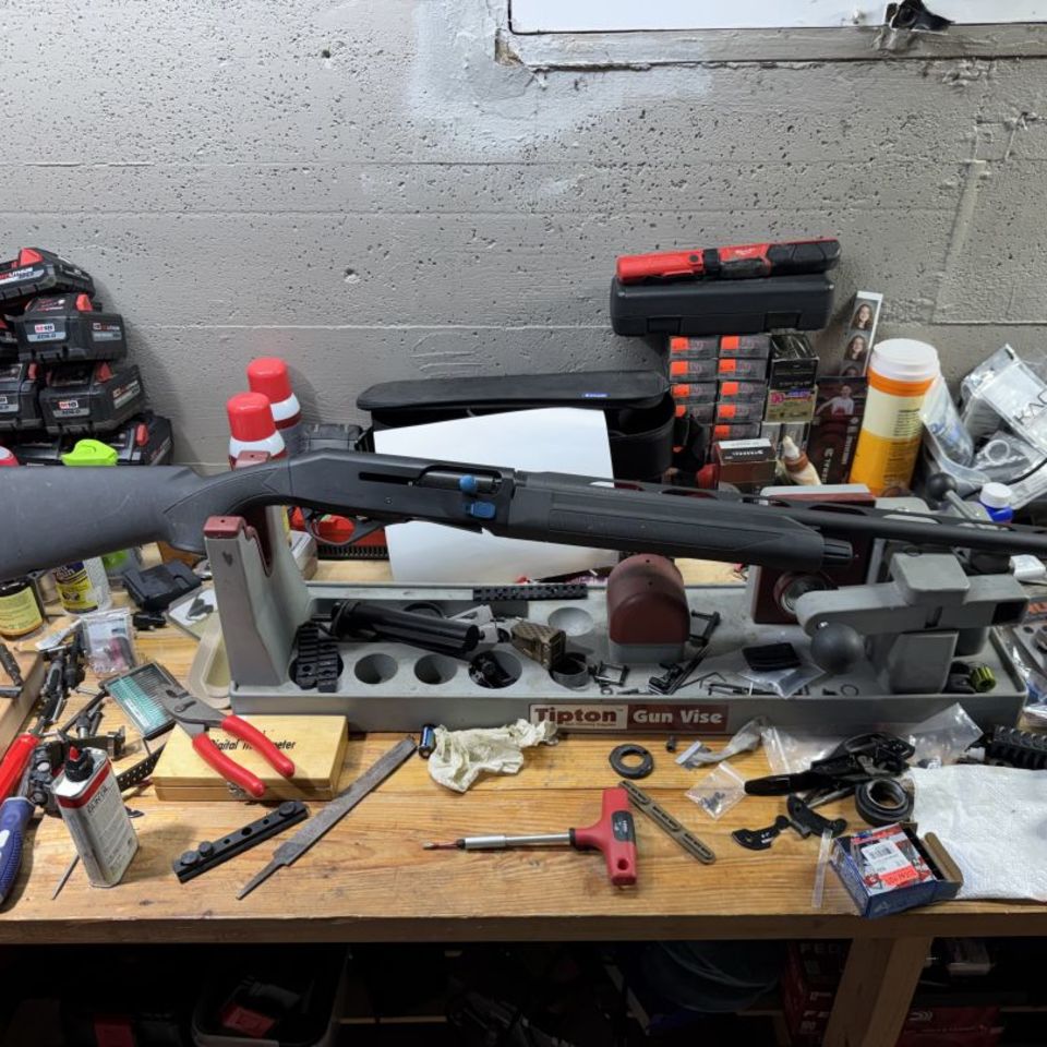 Post 2 - Stoeger m3k