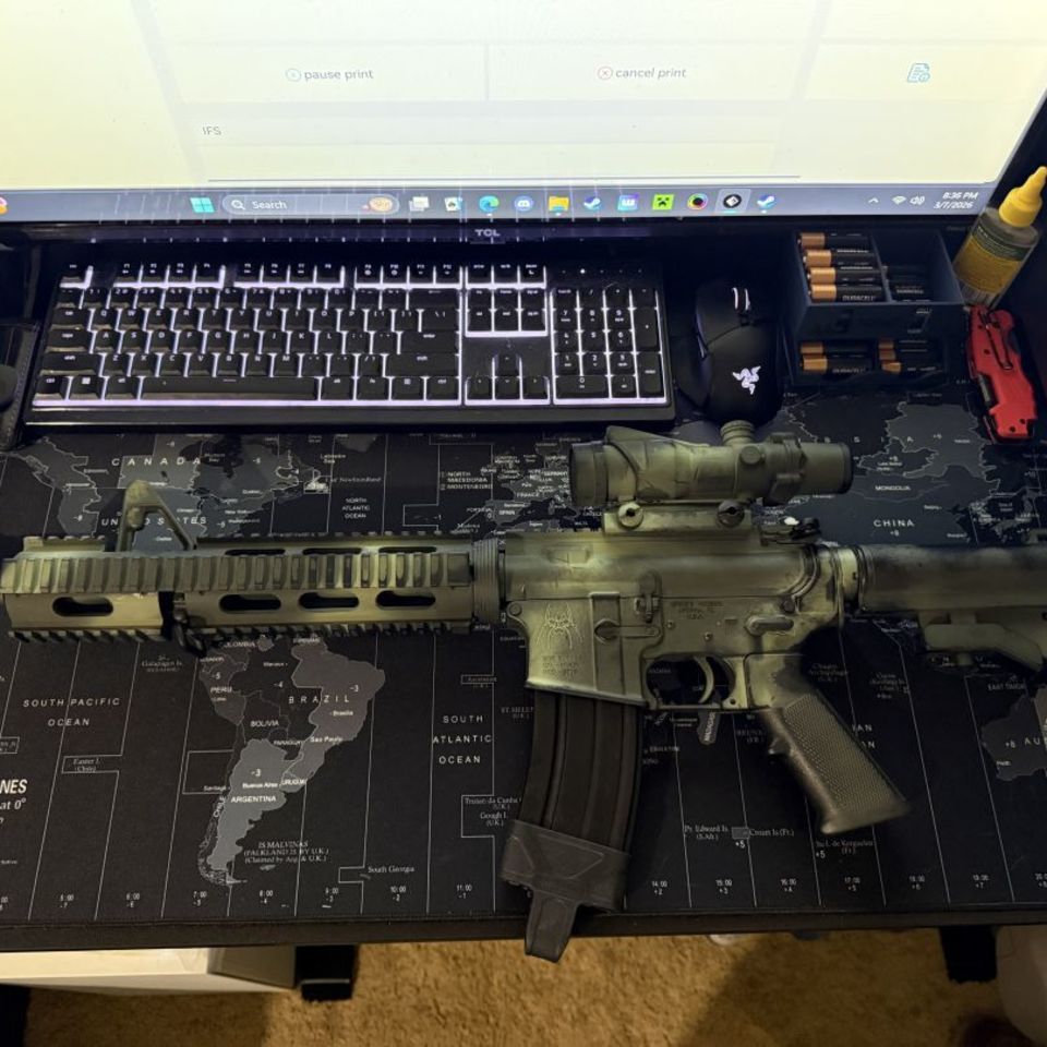 Post 1 - Bushmaster/Spikes AR