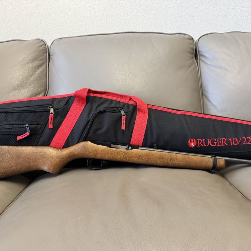 Post 5 - Ruger 10/22 Carbine 