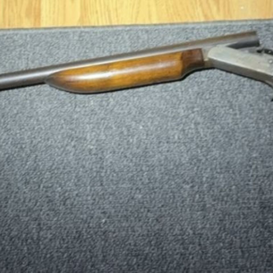 Post 3 - Marlin Model 60