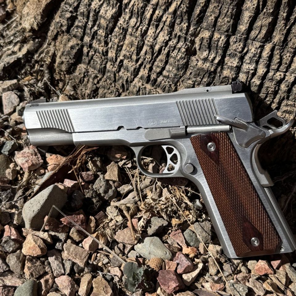 Post 2 - Dan Wesson PM1-S Pointman 45 
