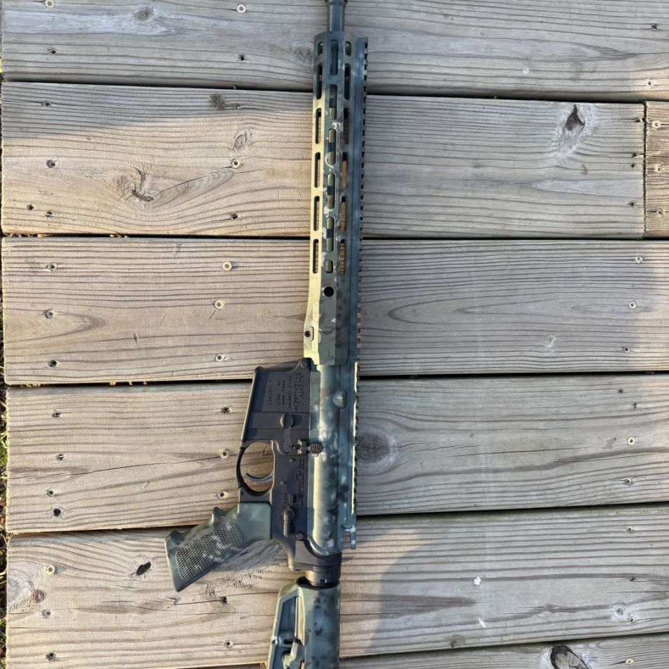 Post 4 - BCM/Ballistic Advantage 13.9