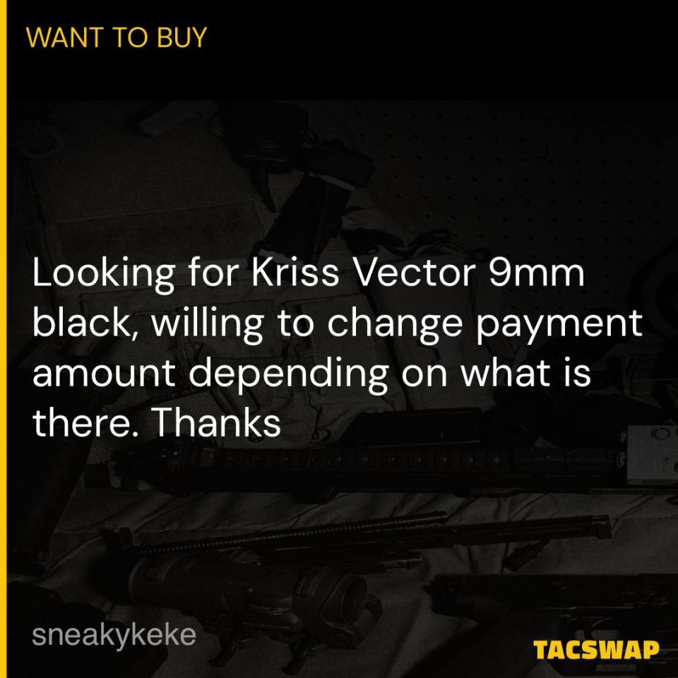 Post 1 - Kriss Vector 