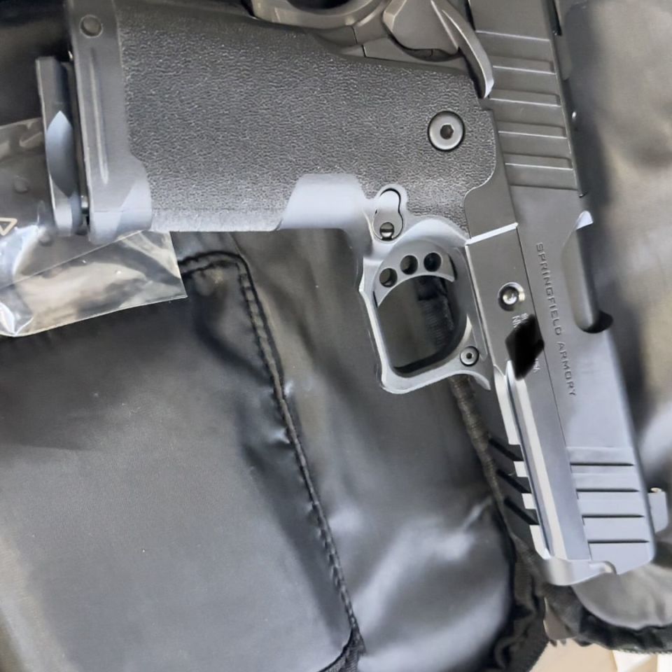 Post 1 - Springfield Prodigy DS