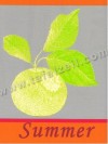 Color grenadine (gtl)