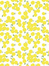 Lola Pump-up-the-jam lemon