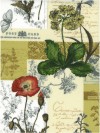 Wild flower PVC cinnamon