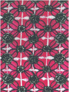 Indian rose fuchsia