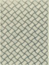 Plakfolie traanplaat zilver 45 cm GLANS