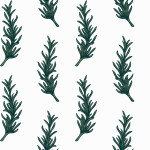 Rosemary white-green