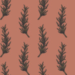 Rosemary terra-green