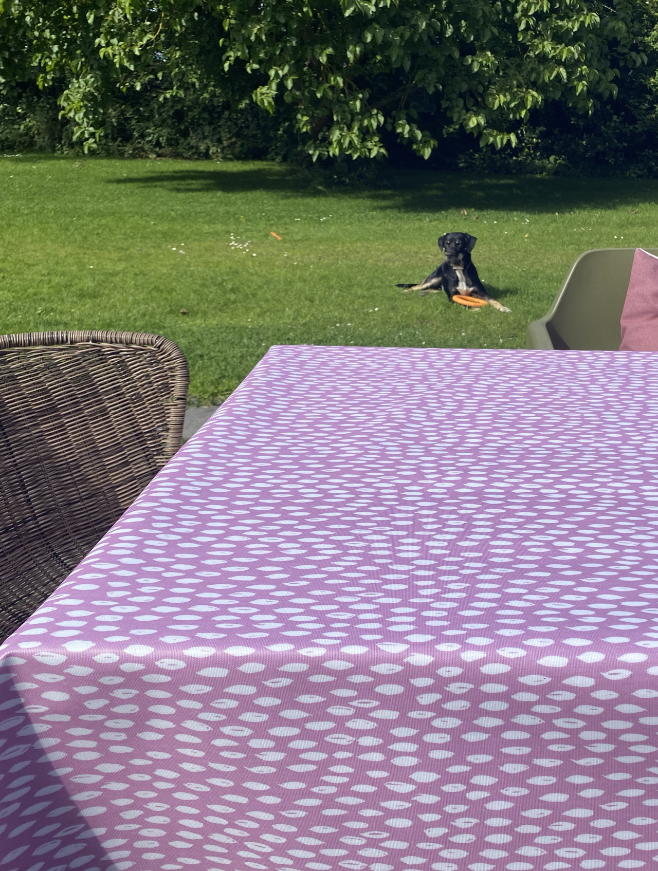 Bay bliss lollypop pvc matt