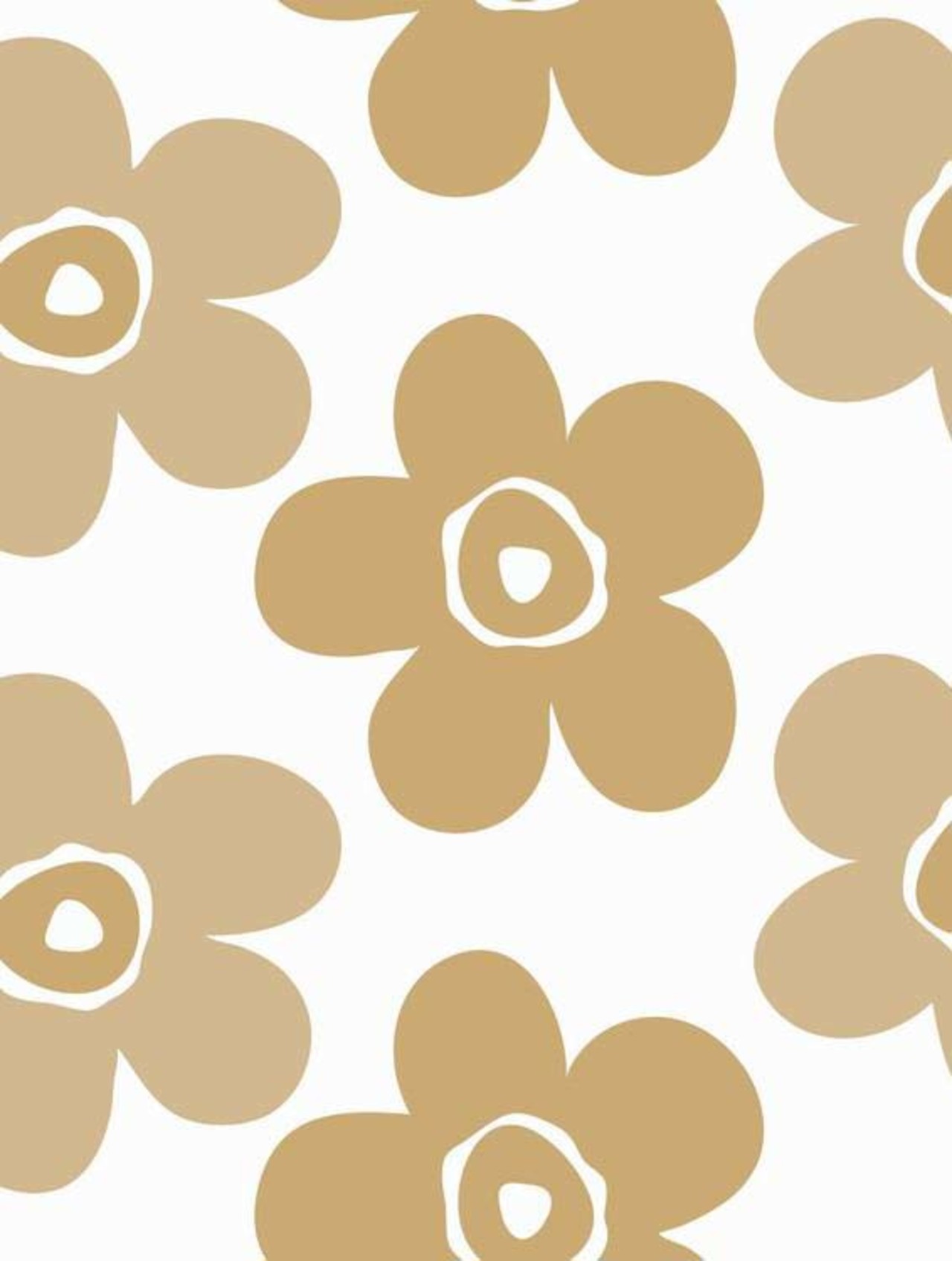 Lola Big flower peanut