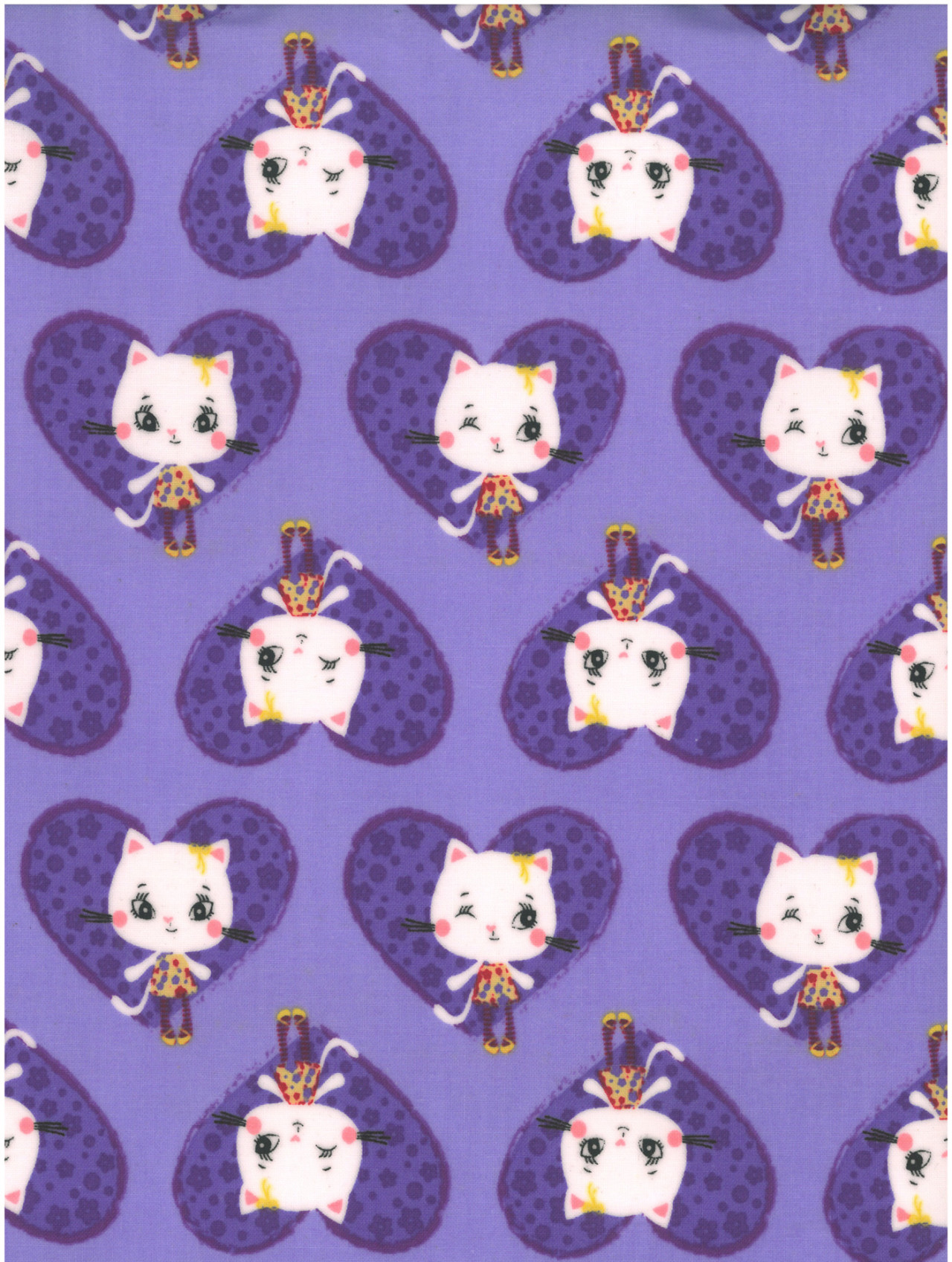 Kitty lila