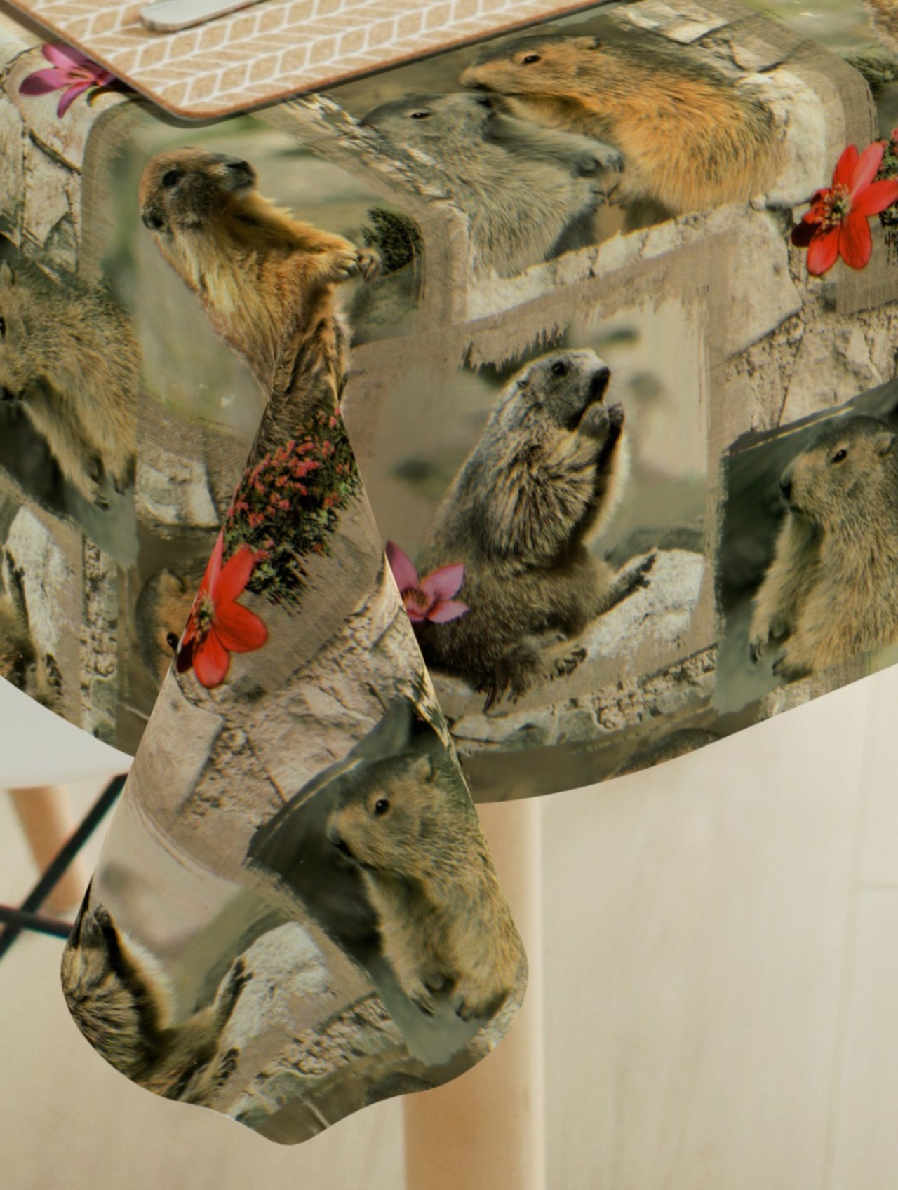 Fotoprint marmot
