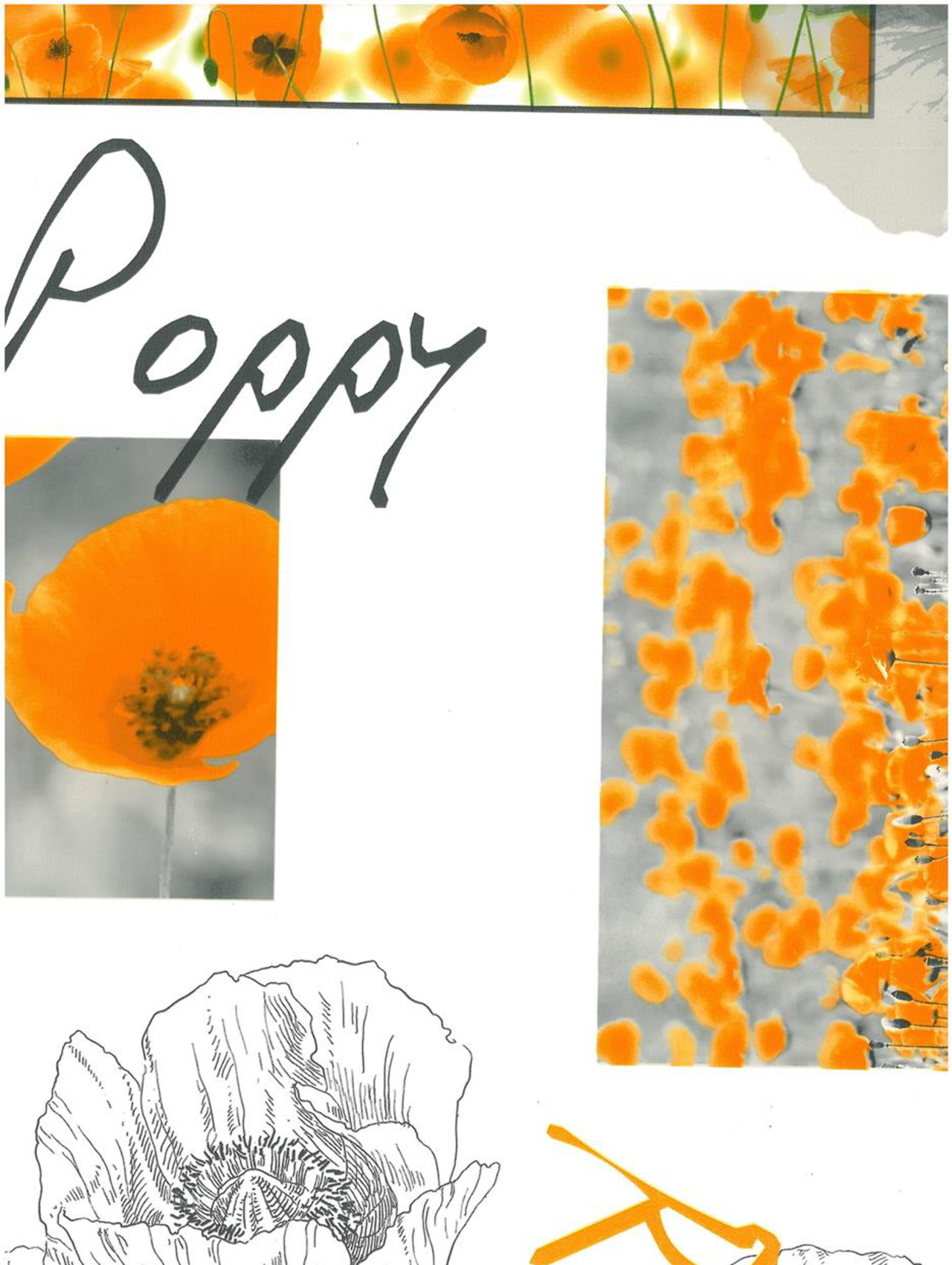 Fotoprint klaproos oranje