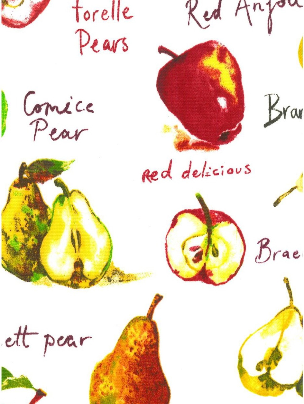 Autumn fruits PVC watercolour