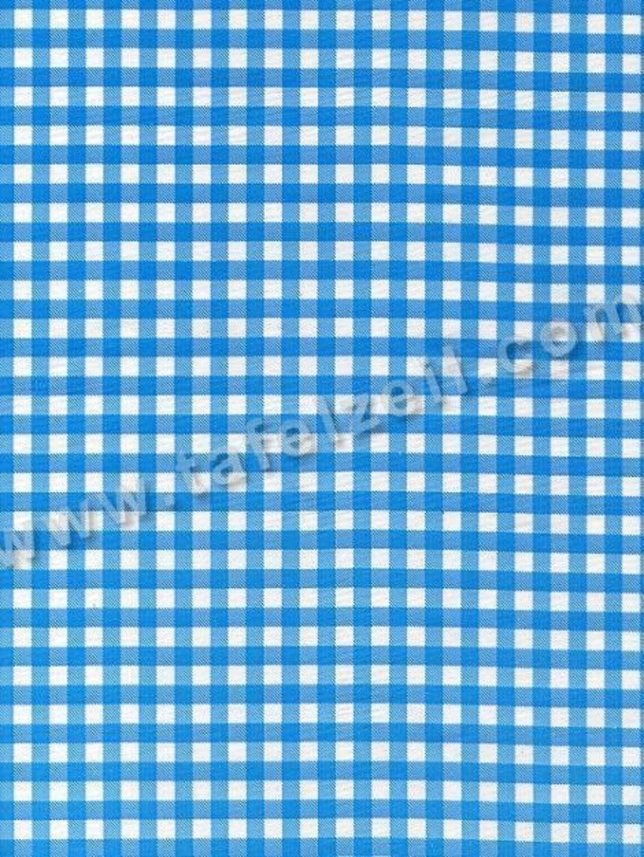 Miniruitje aquablauw mex