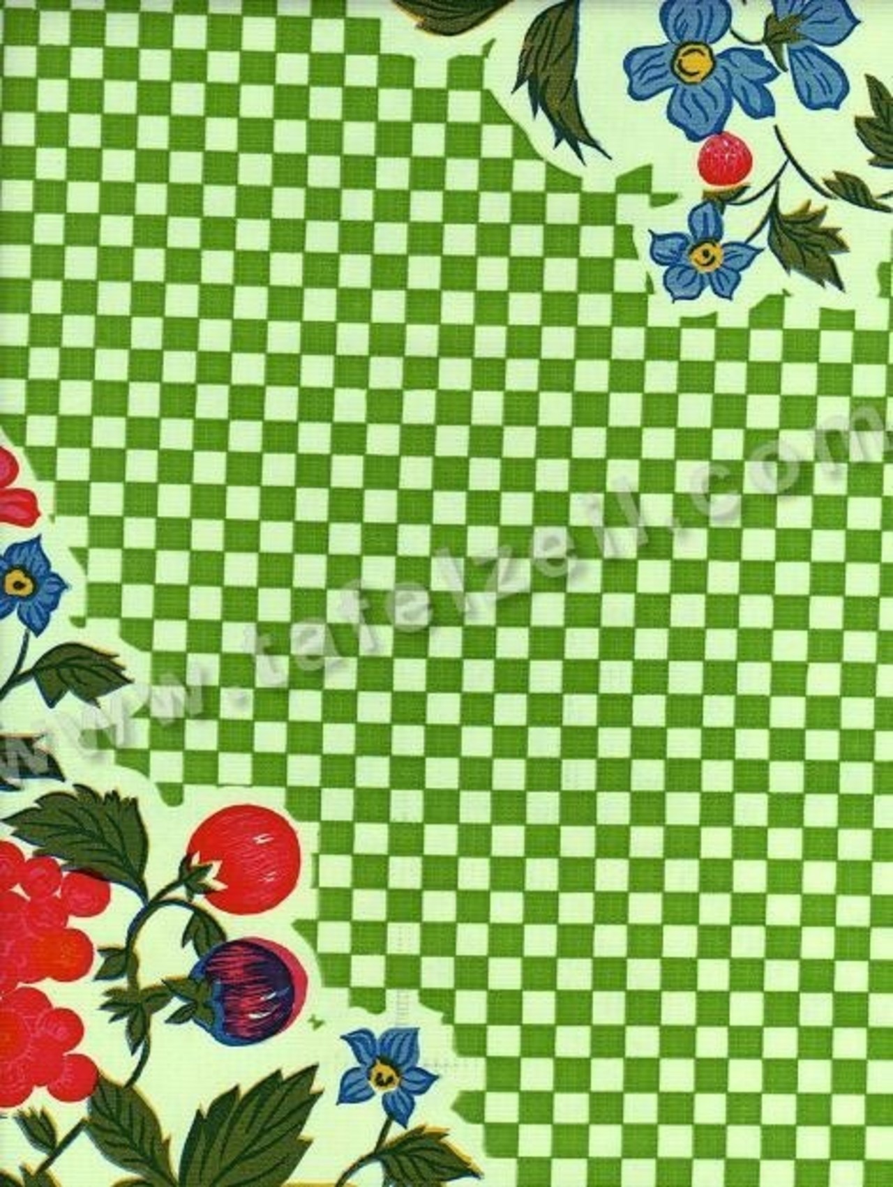 Fruitpicknick limegroen