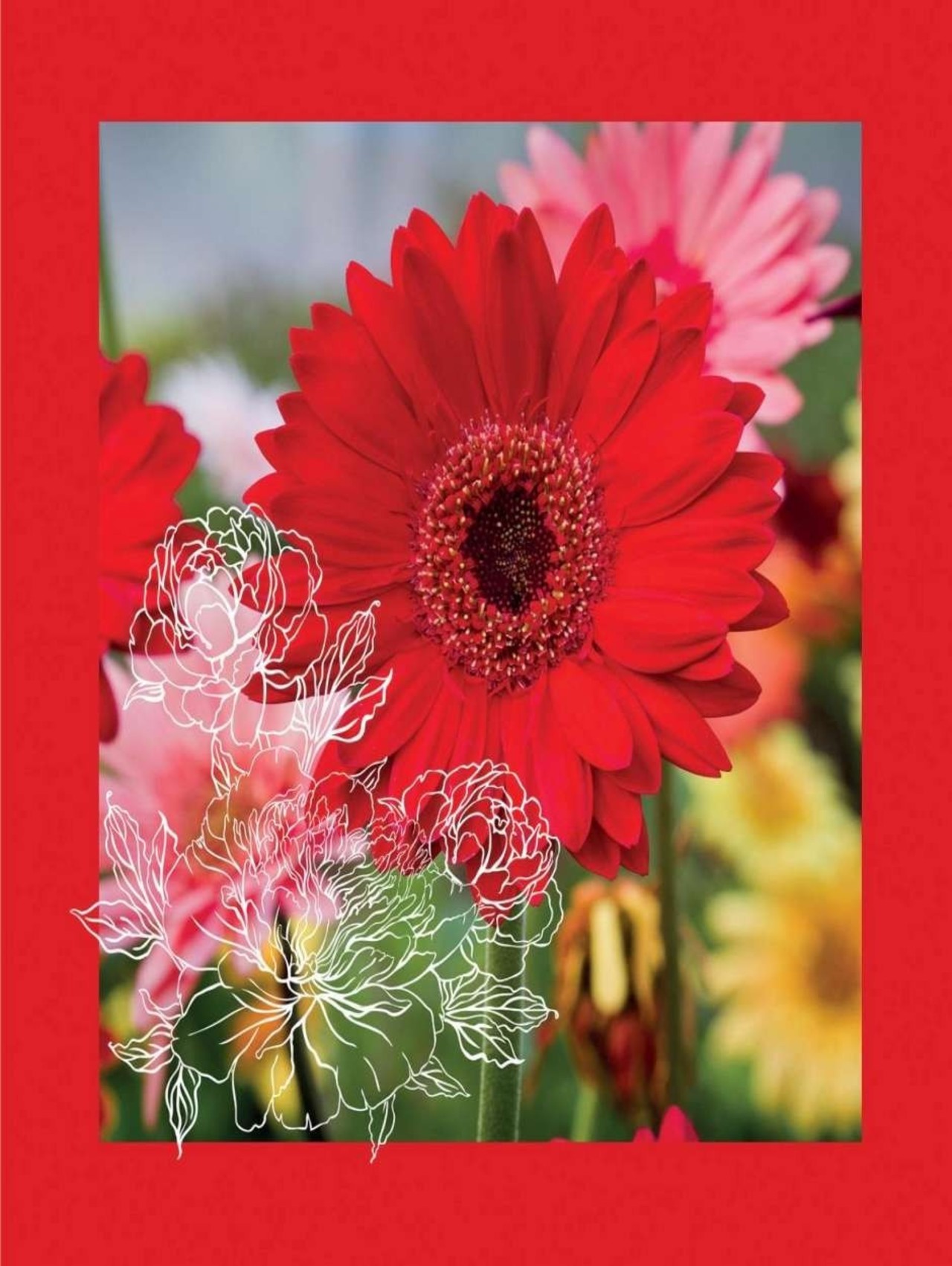 Flore rouge gtl 155 x 155 afgewerkt