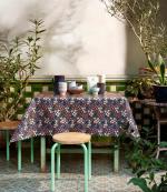 Lola Butterfly's buffet morning blues