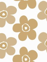 Lola Big flower peanut