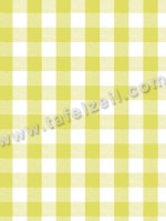 Plakfolie chiwy limegroen