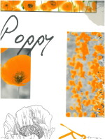 Fotoprint klaproos oranje